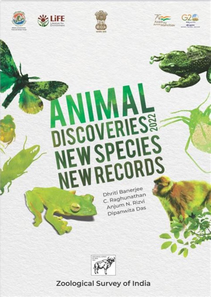 Discoveries And Insights For Animal Lovers